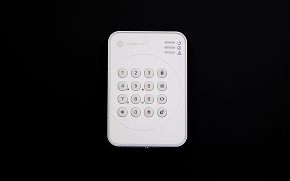 Teclado con sirena de la alarma